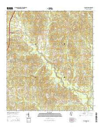 Big Swamp Mississippi Current topographic map, 1:24000 scale, 7.5 X 7.5 Minute, Year 2015