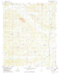 Black Hawk Mississippi Historical topographic map, 1:24000 scale, 7.5 X 7.5 Minute, Year 1982