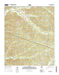 Black Hawk Mississippi Current topographic map, 1:24000 scale, 7.5 X 7.5 Minute, Year 2015