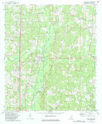 Bogue Chitto Mississippi Historical topographic map, 1:24000 scale, 7.5 X 7.5 Minute, Year 1972