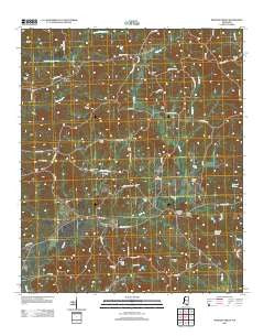 Bowling Green Mississippi Historical topographic map, 1:24000 scale, 7.5 X 7.5 Minute, Year 2012