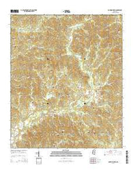Bowling Green Mississippi Current topographic map, 1:24000 scale, 7.5 X 7.5 Minute, Year 2015