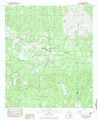 Brooklyn Mississippi Historical topographic map, 1:24000 scale, 7.5 X 7.5 Minute, Year 1983