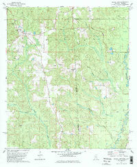 Brown Town Mississippi Historical topographic map, 1:24000 scale, 7.5 X 7.5 Minute, Year 1982