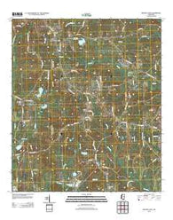 Browns Lake Mississippi Historical topographic map, 1:24000 scale, 7.5 X 7.5 Minute, Year 2012