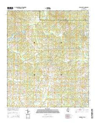 Brownsville Mississippi Current topographic map, 1:24000 scale, 7.5 X 7.5 Minute, Year 2015