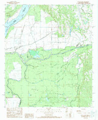 Buck Island Mississippi Historical topographic map, 1:24000 scale, 7.5 X 7.5 Minute, Year 1988