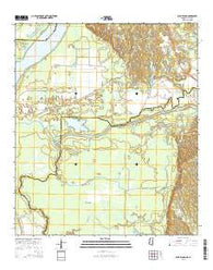 Buck Island Mississippi Current topographic map, 1:24000 scale, 7.5 X 7.5 Minute, Year 2015