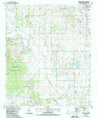 Buena Vista Mississippi Historical topographic map, 1:24000 scale, 7.5 X 7.5 Minute, Year 1987