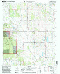 Buena Vista Mississippi Historical topographic map, 1:24000 scale, 7.5 X 7.5 Minute, Year 2000