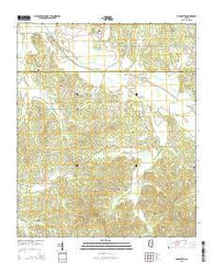 Cadaretta Mississippi Current topographic map, 1:24000 scale, 7.5 X 7.5 Minute, Year 2015