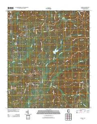 Camden Mississippi Historical topographic map, 1:24000 scale, 7.5 X 7.5 Minute, Year 2012