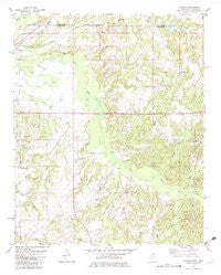 Canaan Mississippi Historical topographic map, 1:24000 scale, 7.5 X 7.5 Minute, Year 1982