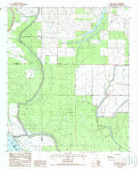 Cane Bayou Mississippi Historical topographic map, 1:24000 scale, 7.5 X 7.5 Minute, Year 1988