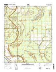 Cane Bayou Mississippi Current topographic map, 1:24000 scale, 7.5 X 7.5 Minute, Year 2015