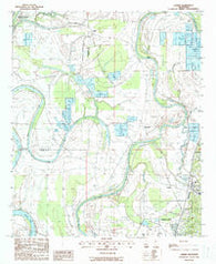 Carter Mississippi Historical topographic map, 1:24000 scale, 7.5 X 7.5 Minute, Year 1988