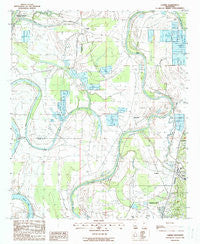 Carter Mississippi Historical topographic map, 1:24000 scale, 7.5 X 7.5 Minute, Year 1988