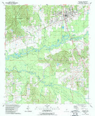 Carthage Mississippi Historical topographic map, 1:24000 scale, 7.5 X 7.5 Minute, Year 1989