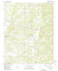 Chalybeate Mississippi Historical topographic map, 1:24000 scale, 7.5 X 7.5 Minute, Year 1982