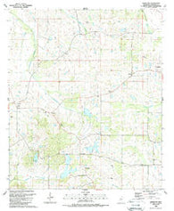 Charlton Mississippi Historical topographic map, 1:24000 scale, 7.5 X 7.5 Minute, Year 1988