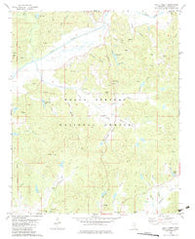 Chilli Creek Mississippi Historical topographic map, 1:24000 scale, 7.5 X 7.5 Minute, Year 1982