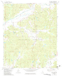 Chilli Creek Mississippi Historical topographic map, 1:24000 scale, 7.5 X 7.5 Minute, Year 1982