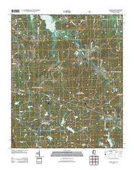 Coker Lake Mississippi Historical topographic map, 1:24000 scale, 7.5 X 7.5 Minute, Year 2012