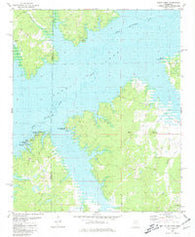 Coles Point Mississippi Historical topographic map, 1:24000 scale, 7.5 X 7.5 Minute, Year 1980