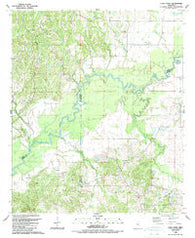 Coxs Ferry Mississippi Historical topographic map, 1:24000 scale, 7.5 X 7.5 Minute, Year 1988