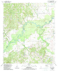 Coxs Ferry Mississippi Historical topographic map, 1:24000 scale, 7.5 X 7.5 Minute, Year 1988