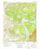 Davis Island Louisiana Historical topographic map, 1:62500 scale, 15 X 15 Minute, Year 1965