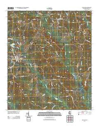 Decatur Mississippi Historical topographic map, 1:24000 scale, 7.5 X 7.5 Minute, Year 2012