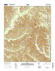 Decatur NW Mississippi Current topographic map, 1:24000 scale, 7.5 X 7.5 Minute, Year 2015