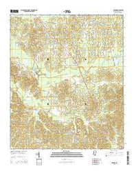 Deemer Mississippi Current topographic map, 1:24000 scale, 7.5 X 7.5 Minute, Year 2015