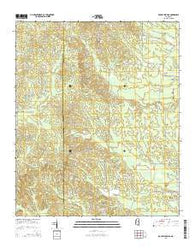 Double Springs Mississippi Current topographic map, 1:24000 scale, 7.5 X 7.5 Minute, Year 2015