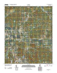 Duck Hill Mississippi Historical topographic map, 1:24000 scale, 7.5 X 7.5 Minute, Year 2012