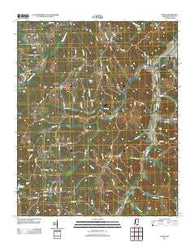 Dumas Mississippi Historical topographic map, 1:24000 scale, 7.5 X 7.5 Minute, Year 2012
