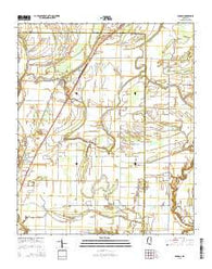 Duncan Mississippi Current topographic map, 1:24000 scale, 7.5 X 7.5 Minute, Year 2015