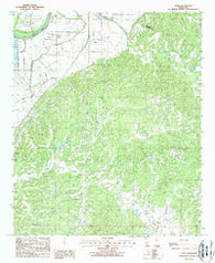 Eden Mississippi Historical topographic map, 1:24000 scale, 7.5 X 7.5 Minute, Year 1988