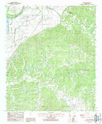 Eden Mississippi Historical topographic map, 1:24000 scale, 7.5 X 7.5 Minute, Year 1988