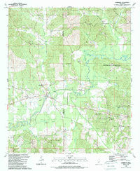Edinburg Mississippi Historical topographic map, 1:24000 scale, 7.5 X 7.5 Minute, Year 1989