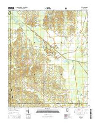 Etta Mississippi Current topographic map, 1:24000 scale, 7.5 X 7.5 Minute, Year 2015