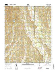 Evergreen Mississippi Current topographic map, 1:24000 scale, 7.5 X 7.5 Minute, Year 2015