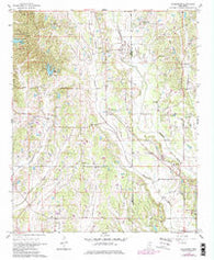 Evergreen Mississippi Historical topographic map, 1:24000 scale, 7.5 X 7.5 Minute, Year 1966