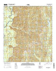 Fords Creek Mississippi Current topographic map, 1:24000 scale, 7.5 X 7.5 Minute, Year 2015