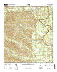Georgetown Mississippi Current topographic map, 1:24000 scale, 7.5 X 7.5 Minute, Year 2015