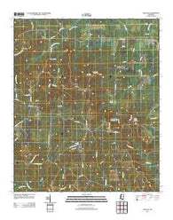 Gholson Mississippi Historical topographic map, 1:24000 scale, 7.5 X 7.5 Minute, Year 2012