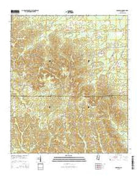Gholson Mississippi Current topographic map, 1:24000 scale, 7.5 X 7.5 Minute, Year 2015