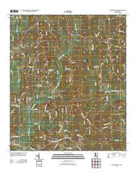 Heidelberg SW Mississippi Historical topographic map, 1:24000 scale, 7.5 X 7.5 Minute, Year 2012