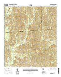 Heidelberg SW Mississippi Current topographic map, 1:24000 scale, 7.5 X 7.5 Minute, Year 2015